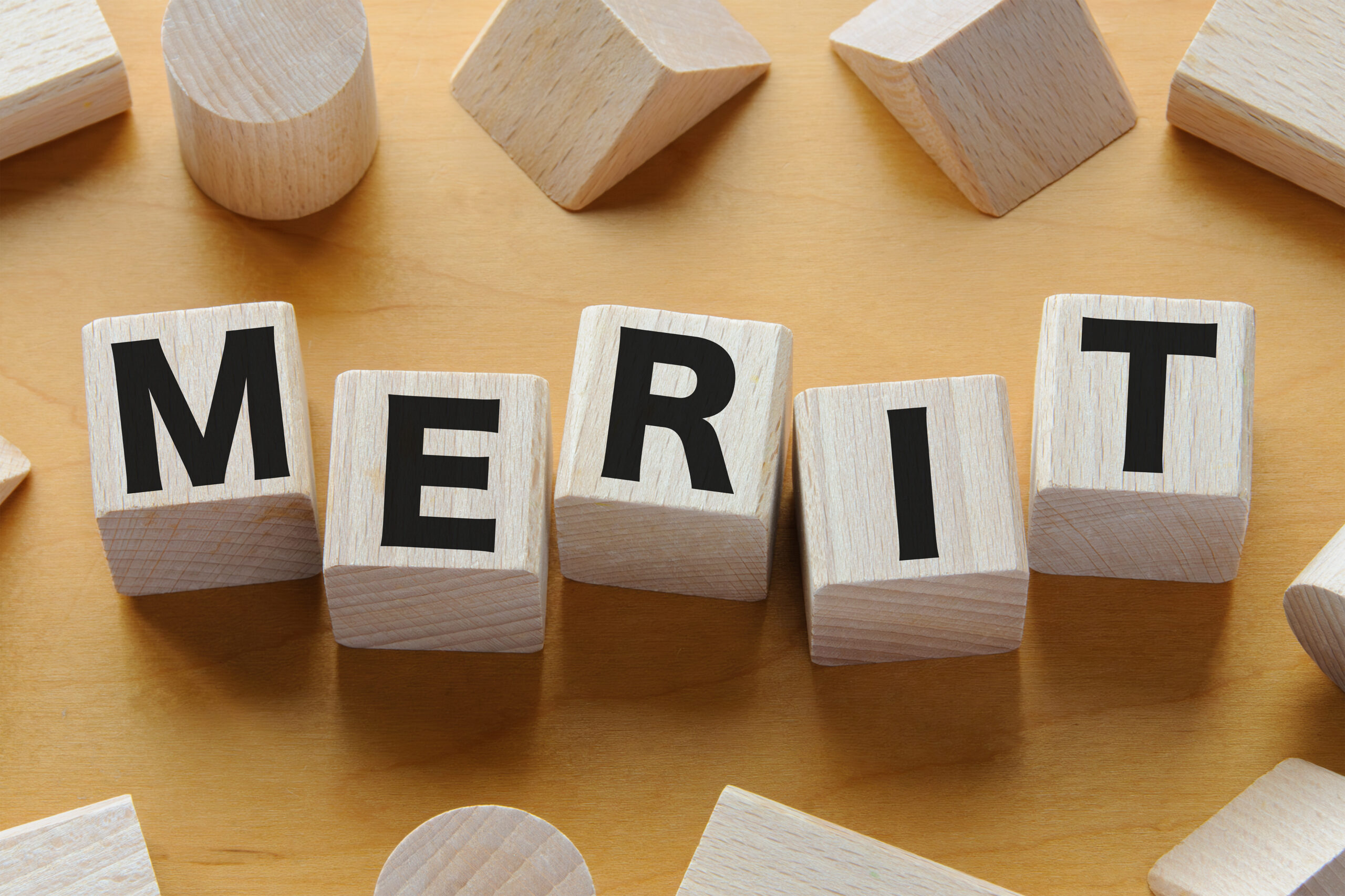 積み木に文字　MERIT